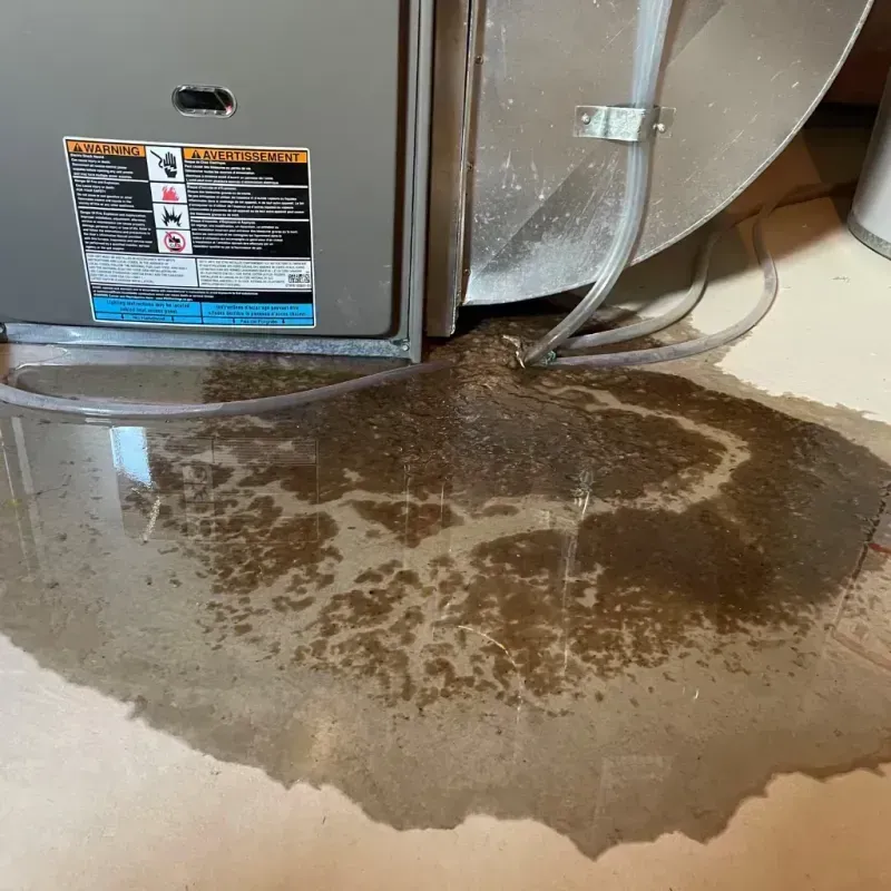 Appliance Leak Cleanup in West Marion, NC